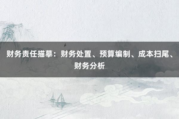 财务责任描摹：财务处置、预算编制、成本扫尾、财务分析